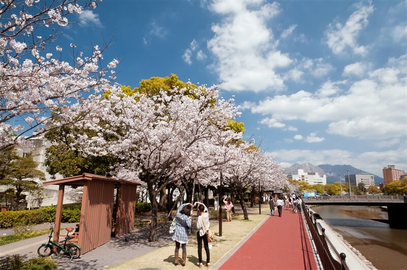 甲突川左岸・右岸緑地の写真1