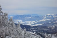 鹿沢スノーエリア