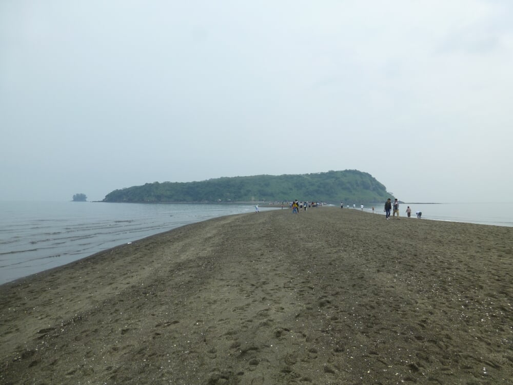 知林ヶ島の写真1