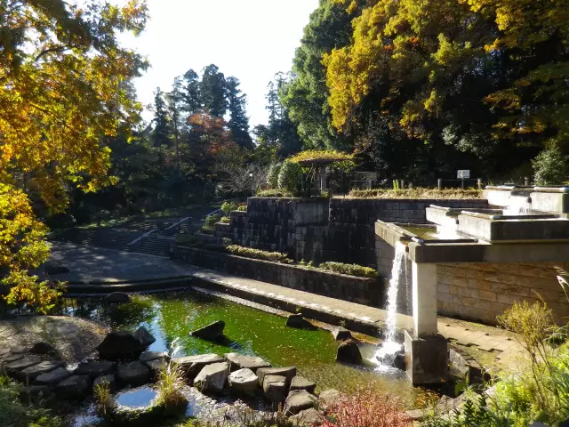 忠生公園の写真1