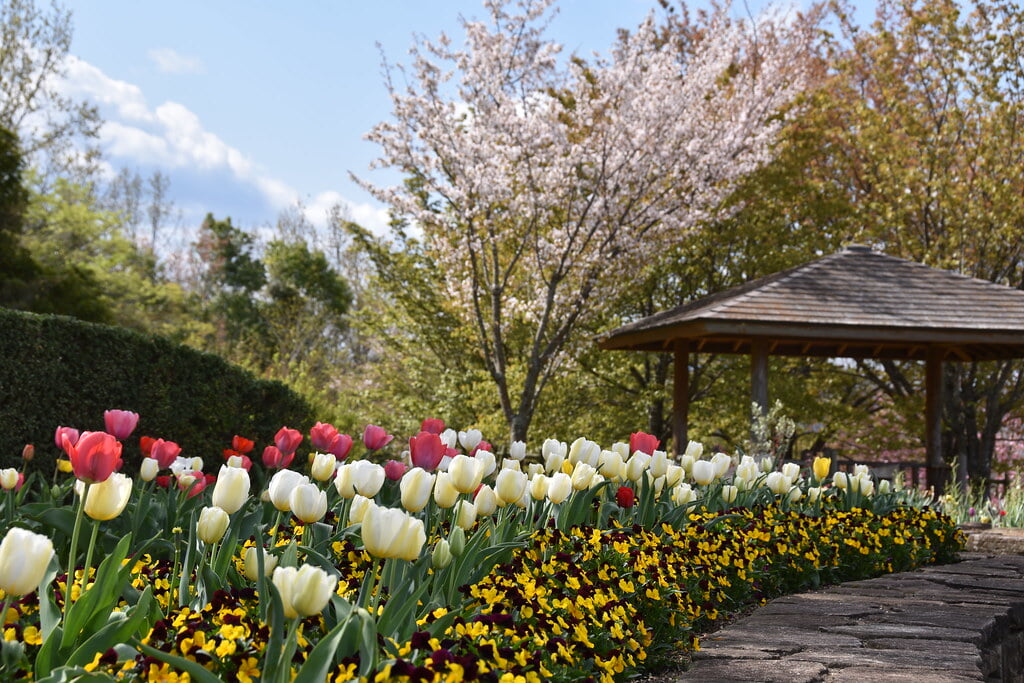 グリーンヒルズ津山の写真2