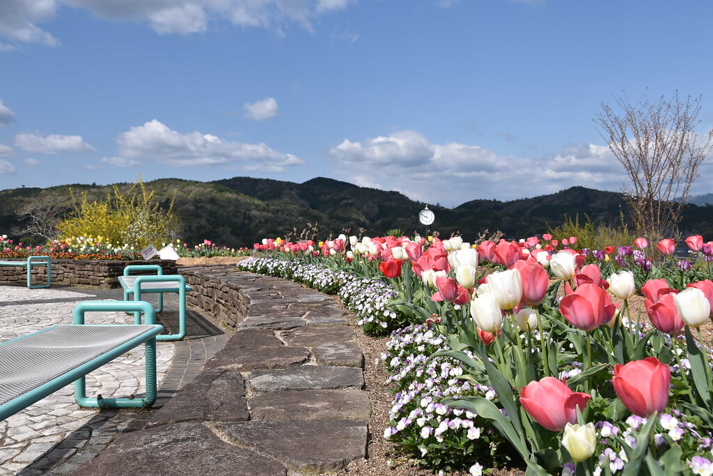 グリーンヒルズ津山の写真6