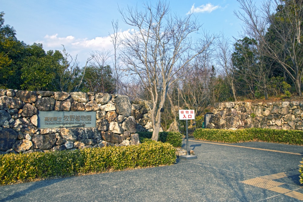高知県立牧野植物園の写真3