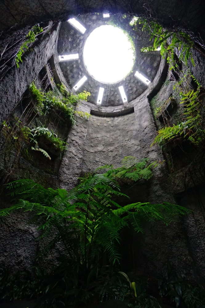 高知県立牧野植物園の写真4