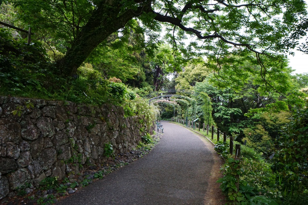 高知県立牧野植物園の写真5