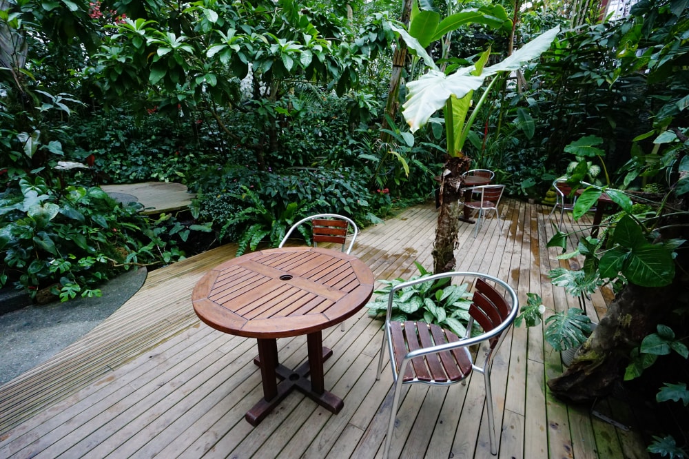 高知県立牧野植物園の写真9