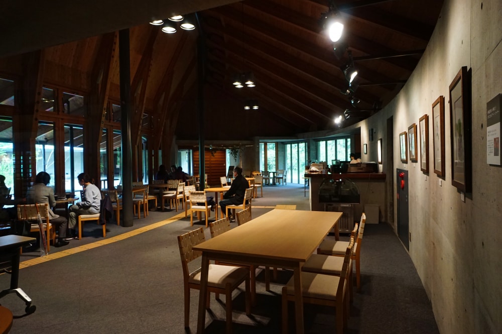 高知県立牧野植物園の写真10