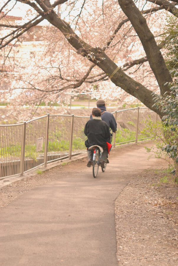 善福寺川緑地の写真2