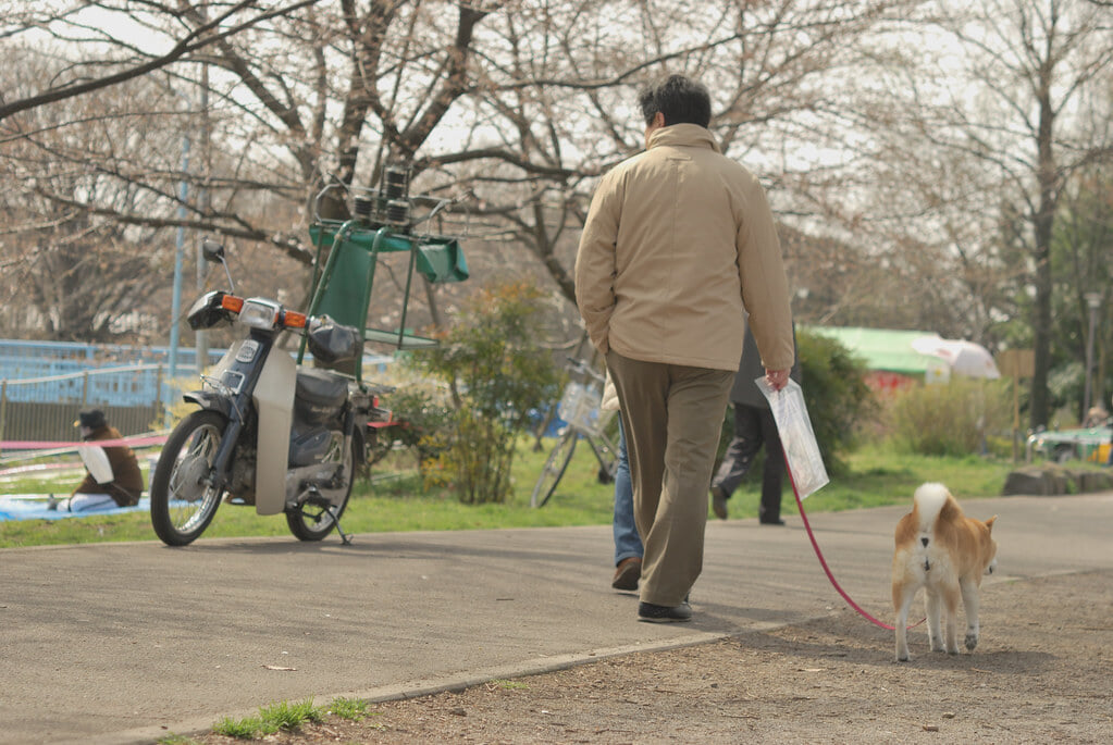 善福寺川緑地の写真5