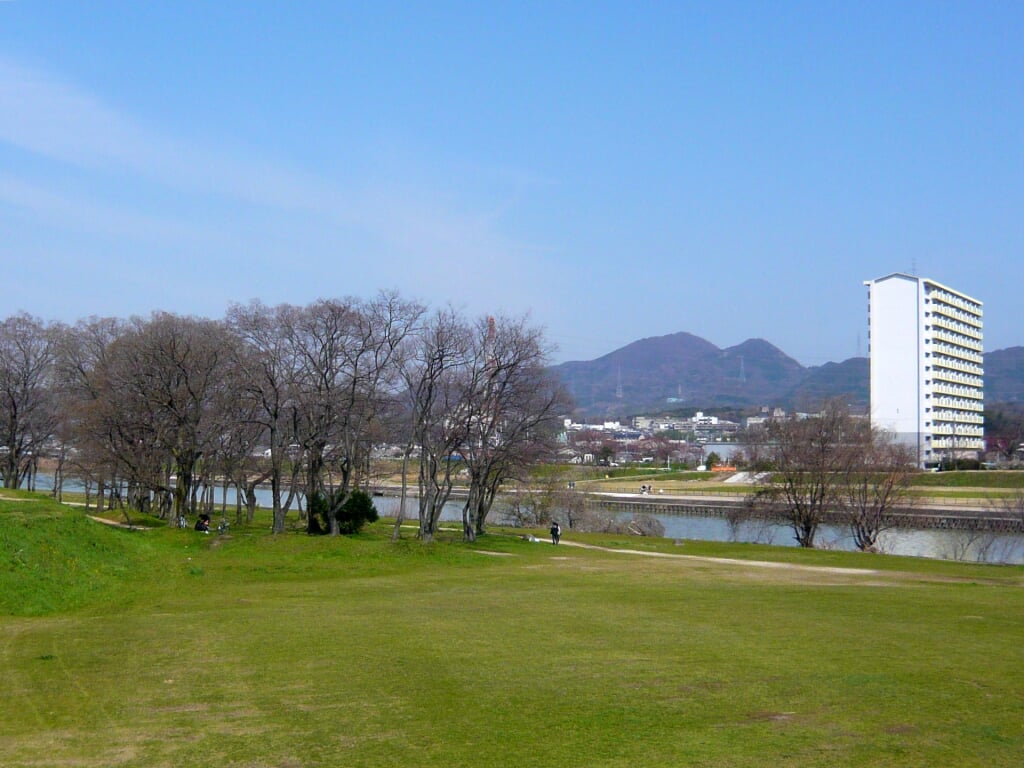 石川河川公園の写真3