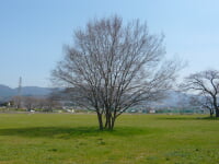 石川河川公園