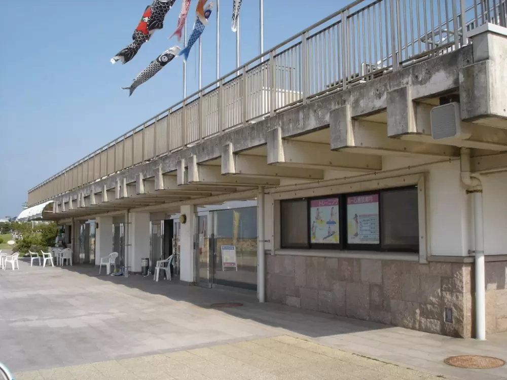 せんなん里海公園の写真1