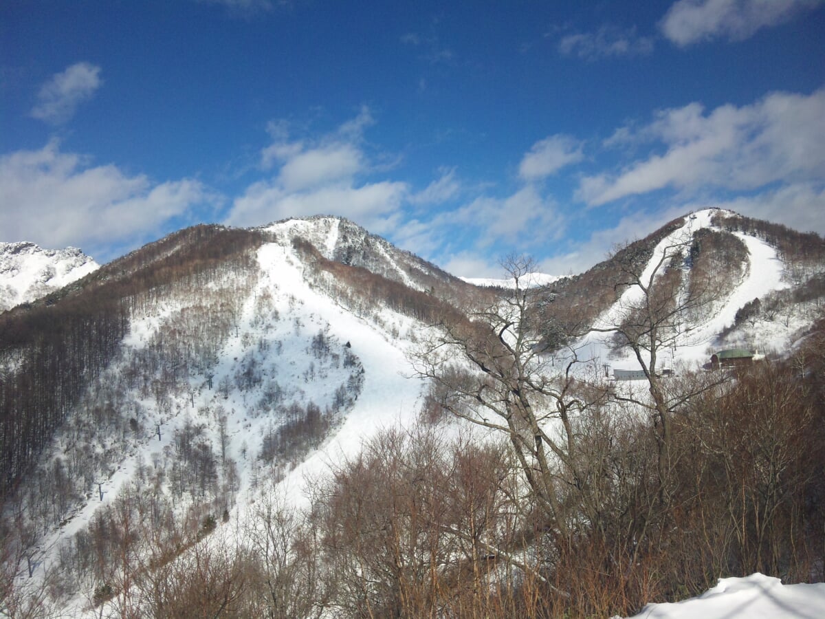 川場スキー場の写真3