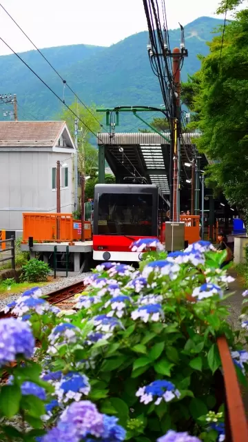 箱根登山ケーブルカーの写真1
