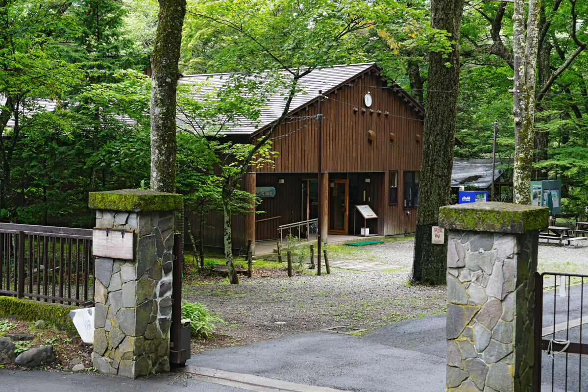 さかなと森の観察園の写真2