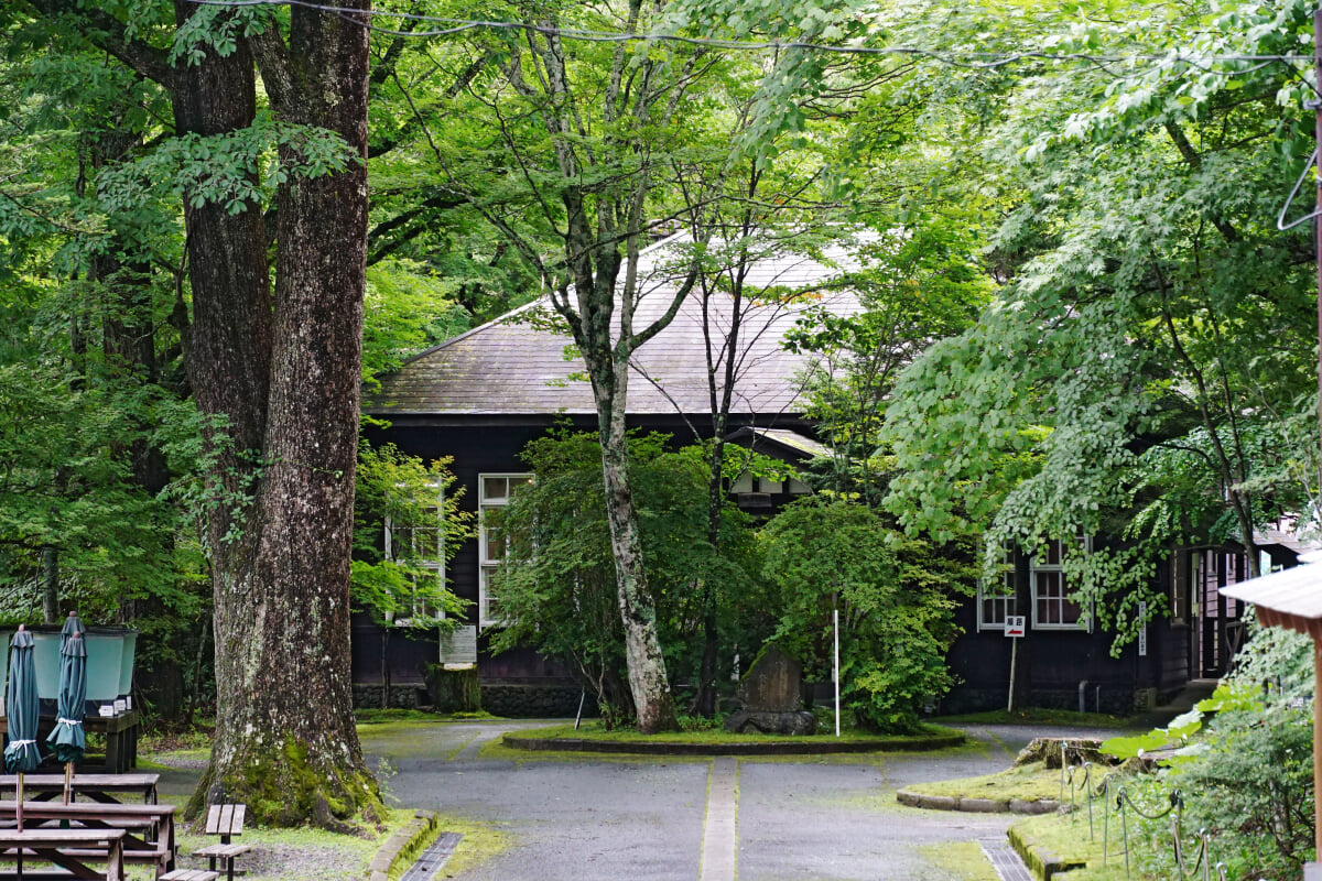 さかなと森の観察園の写真3