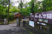 さかなと森の観察園