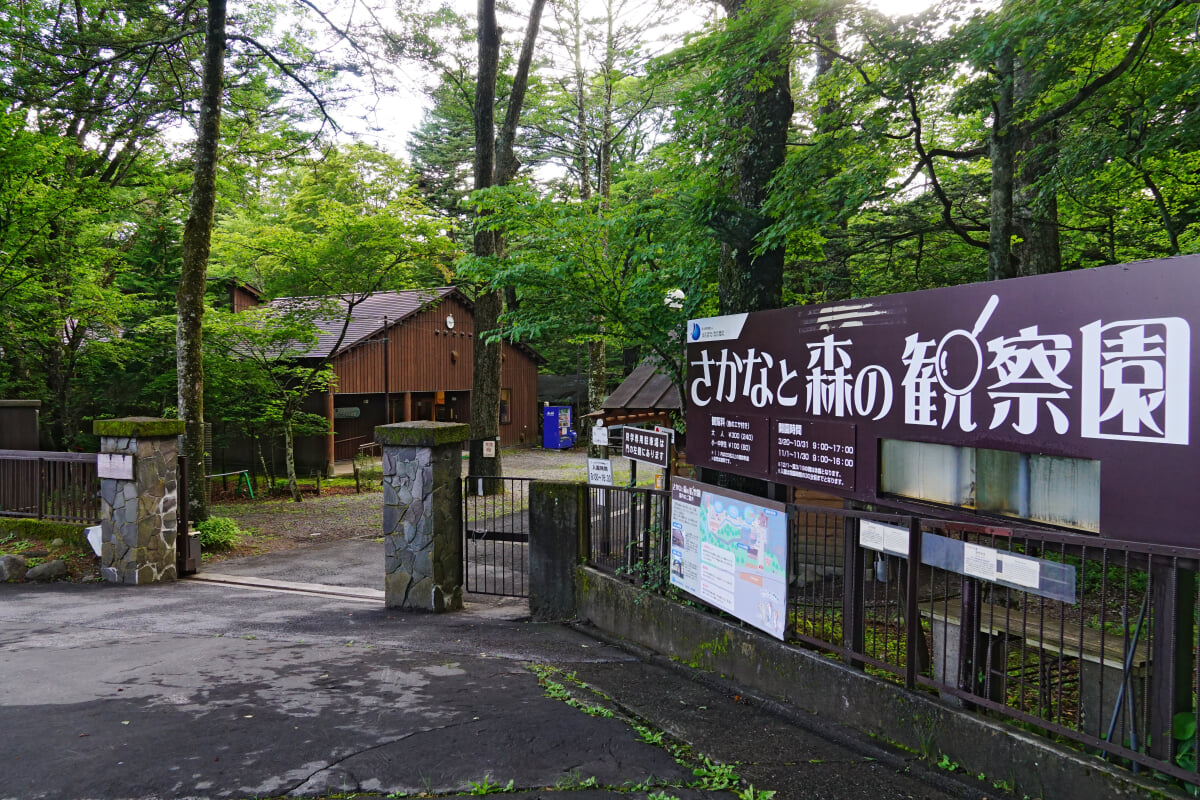 さかなと森の観察園の写真1