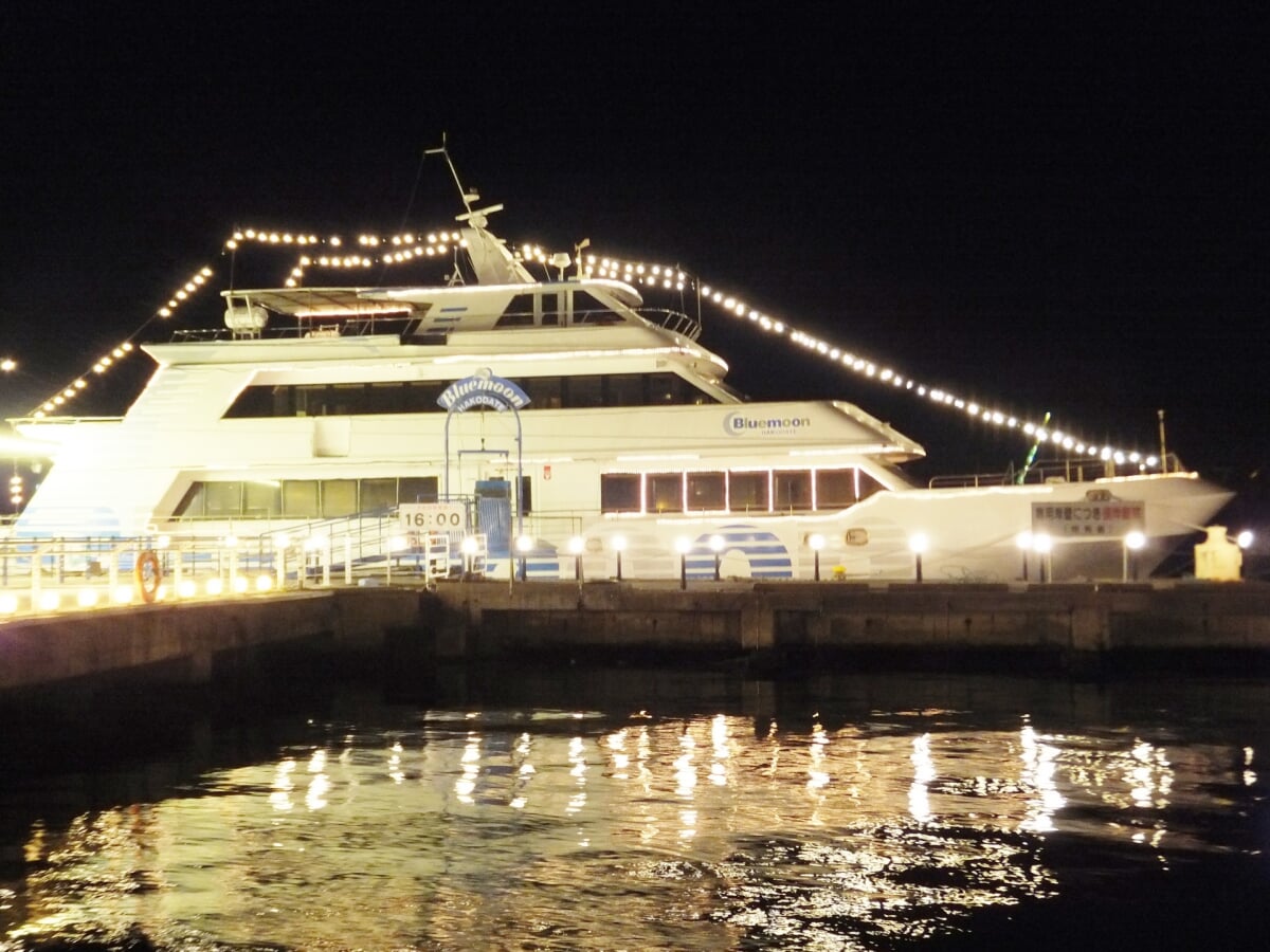 観光遊覧船ブルームーンの写真2