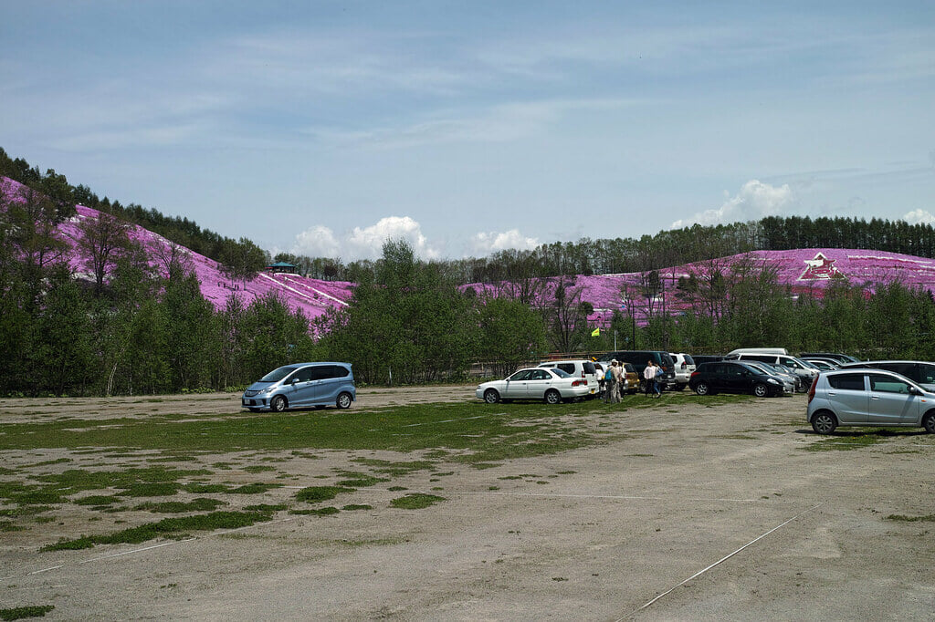 ひがしもこと芝桜公園の写真3
