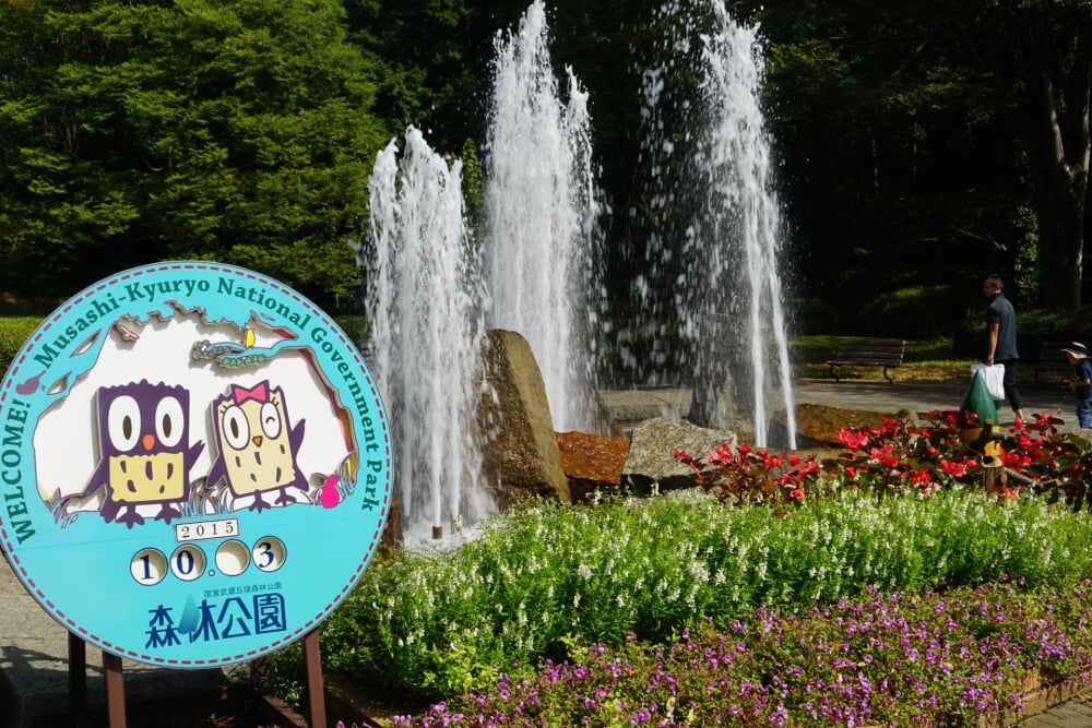 国営武蔵丘陵森林公園の写真2