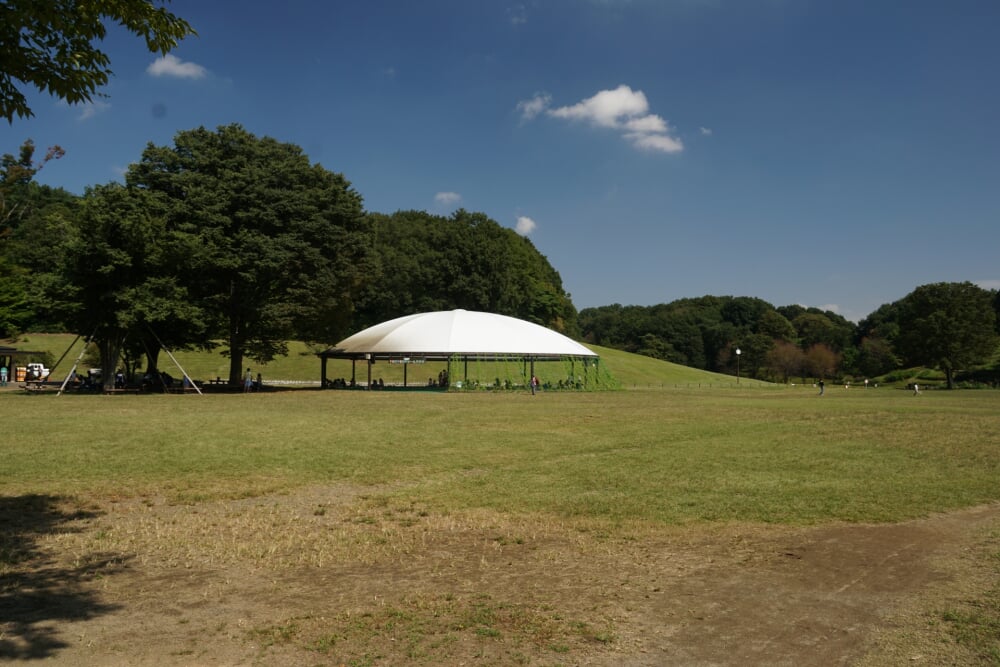 国営武蔵丘陵森林公園の写真3