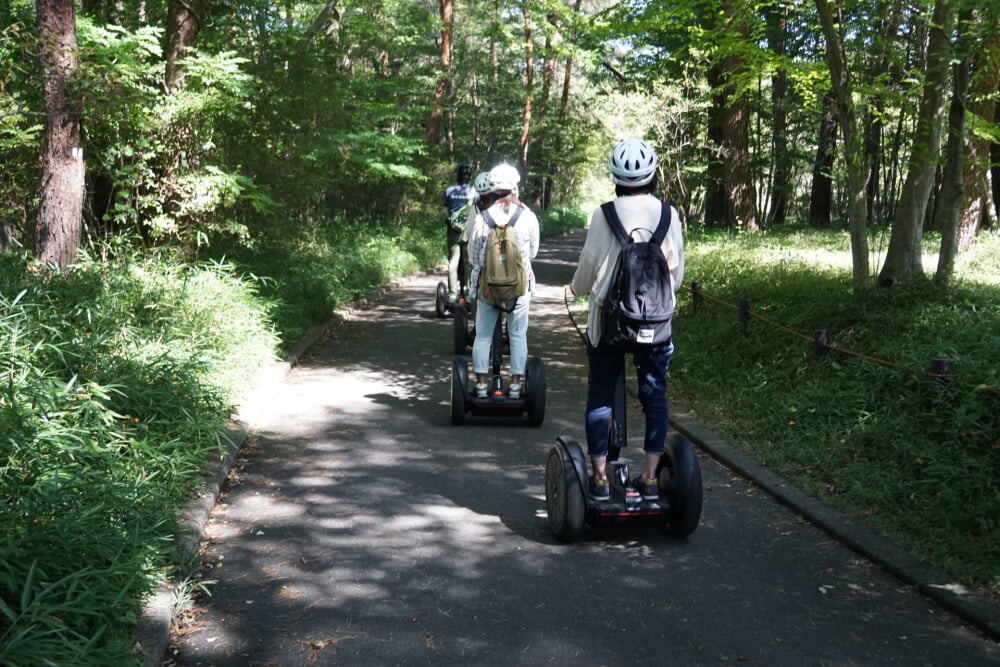 国営武蔵丘陵森林公園の写真4