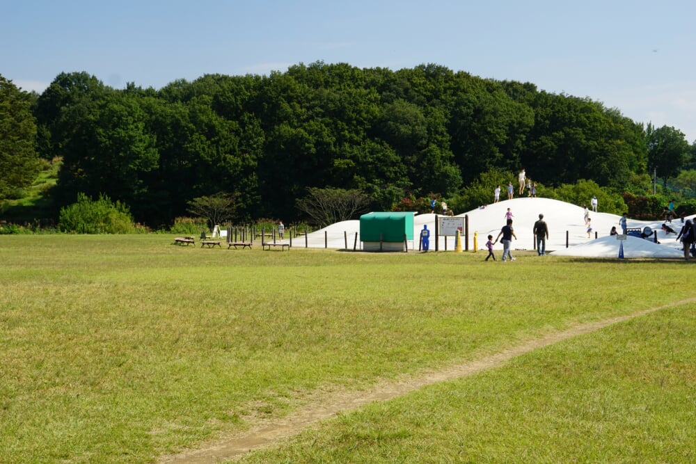 国営武蔵丘陵森林公園の写真6