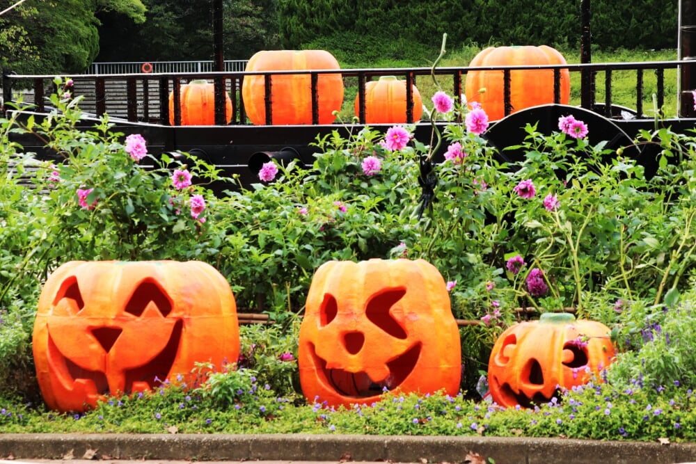 国営武蔵丘陵森林公園の写真8