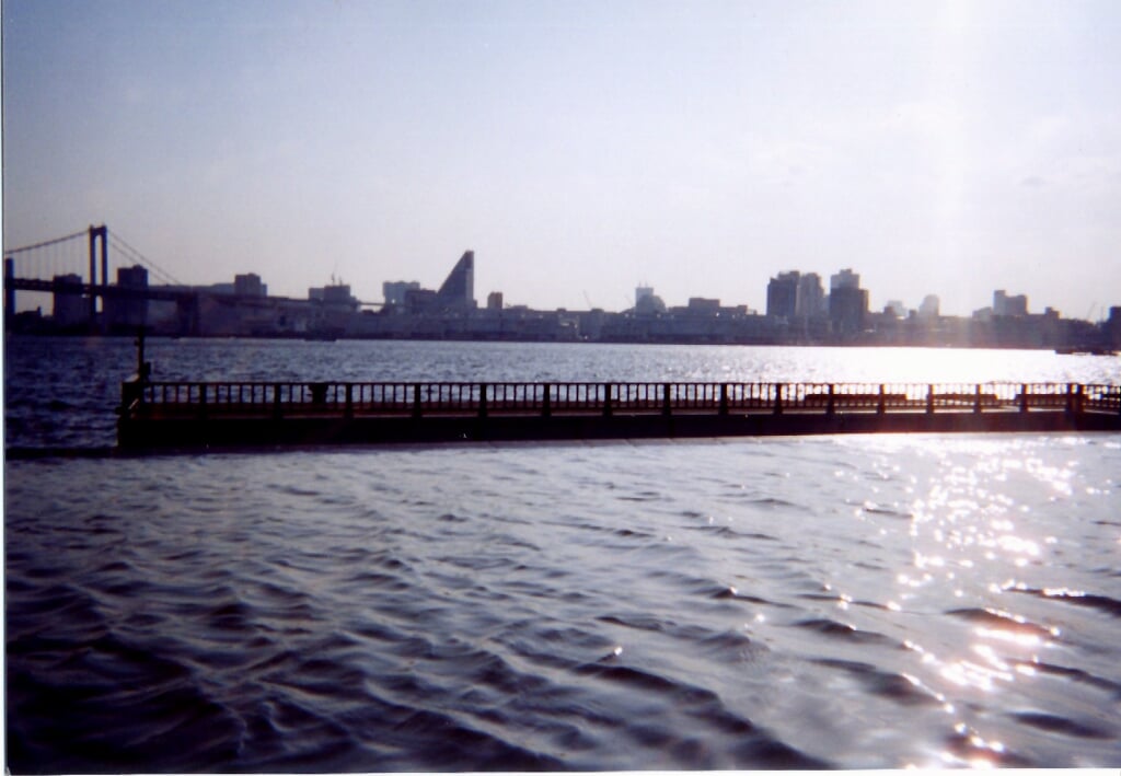 埠頭公園の写真2