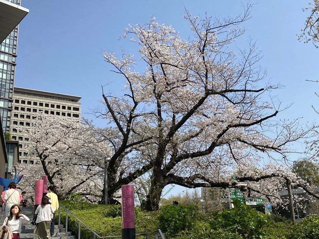 東京ガーデンテラス紀尾井町の写真3