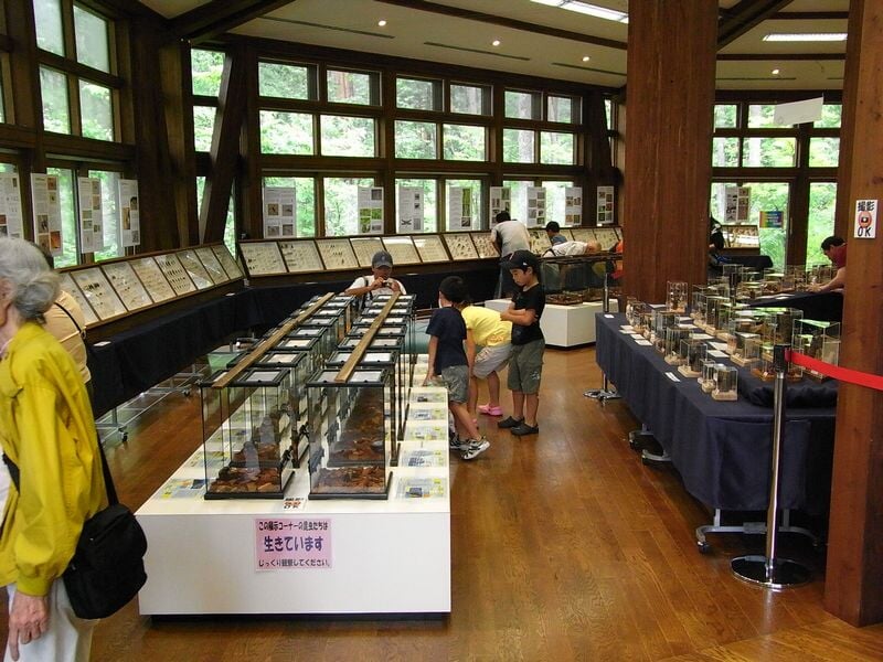 国営アルプスあづみの公園　大町・松川地区の写真2