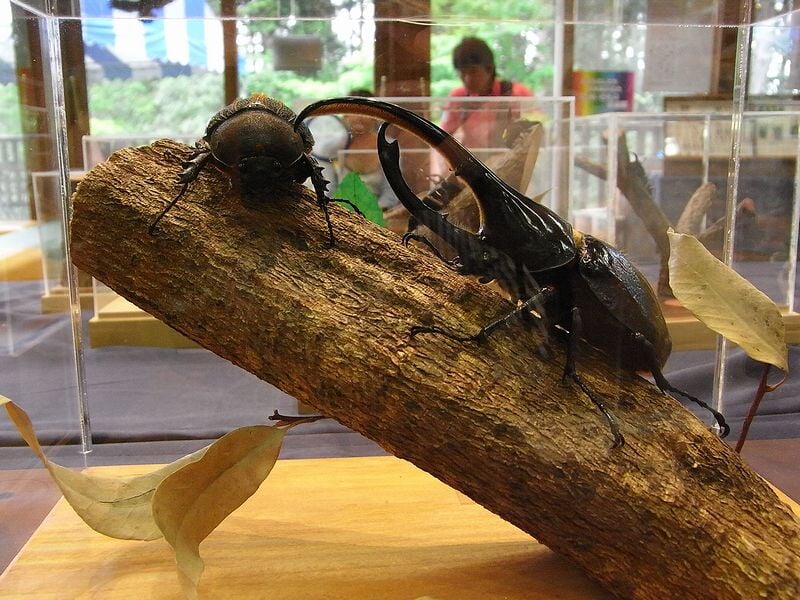 国営アルプスあづみの公園　大町・松川地区の写真3