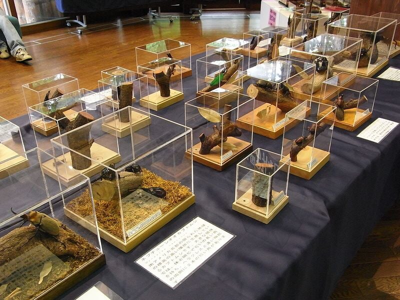 国営アルプスあづみの公園　大町・松川地区の写真6