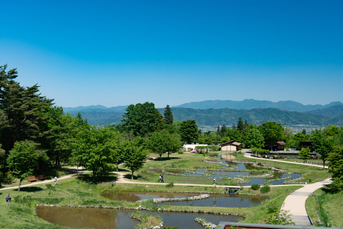 国営アルプスあづみの公園　大町・松川地区の写真9