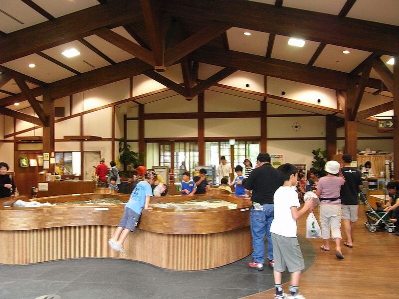 国営アルプスあづみの公園　大町・松川地区の写真1