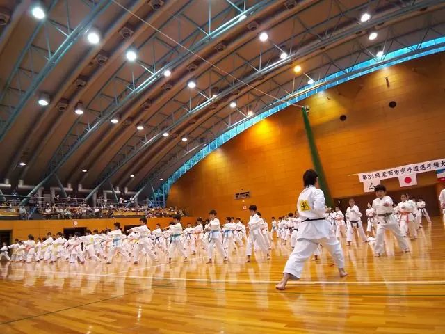 箕面市立第一総合運動場スカイアリーナの写真1
