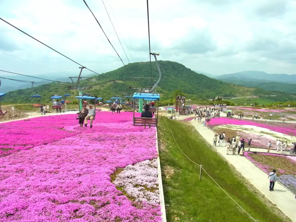 茶臼山高原の写真1