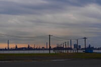 江川海岸潮干狩り場