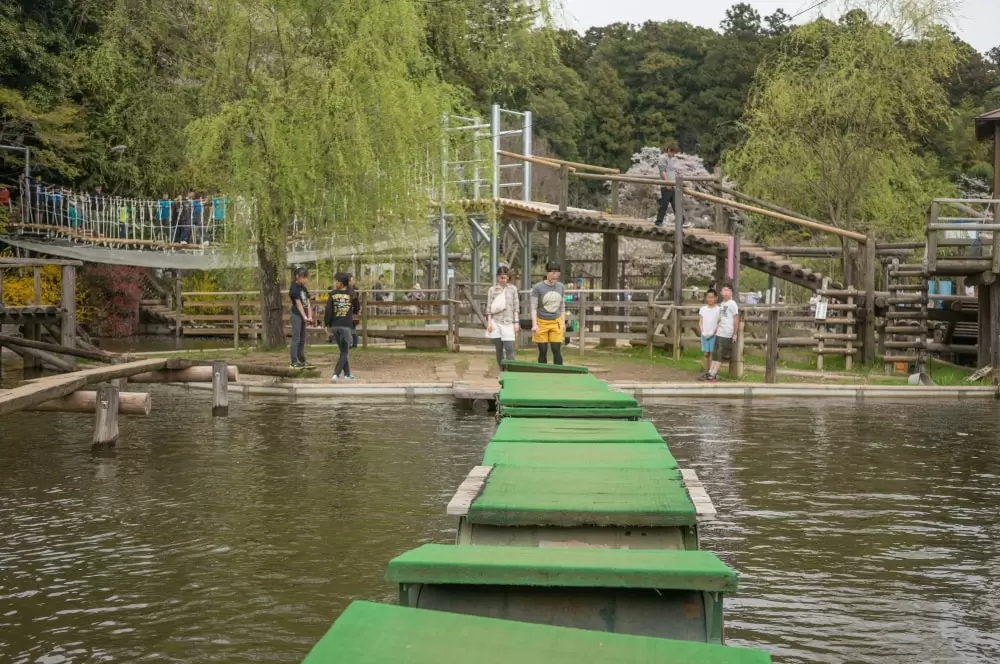 清水公園の写真1