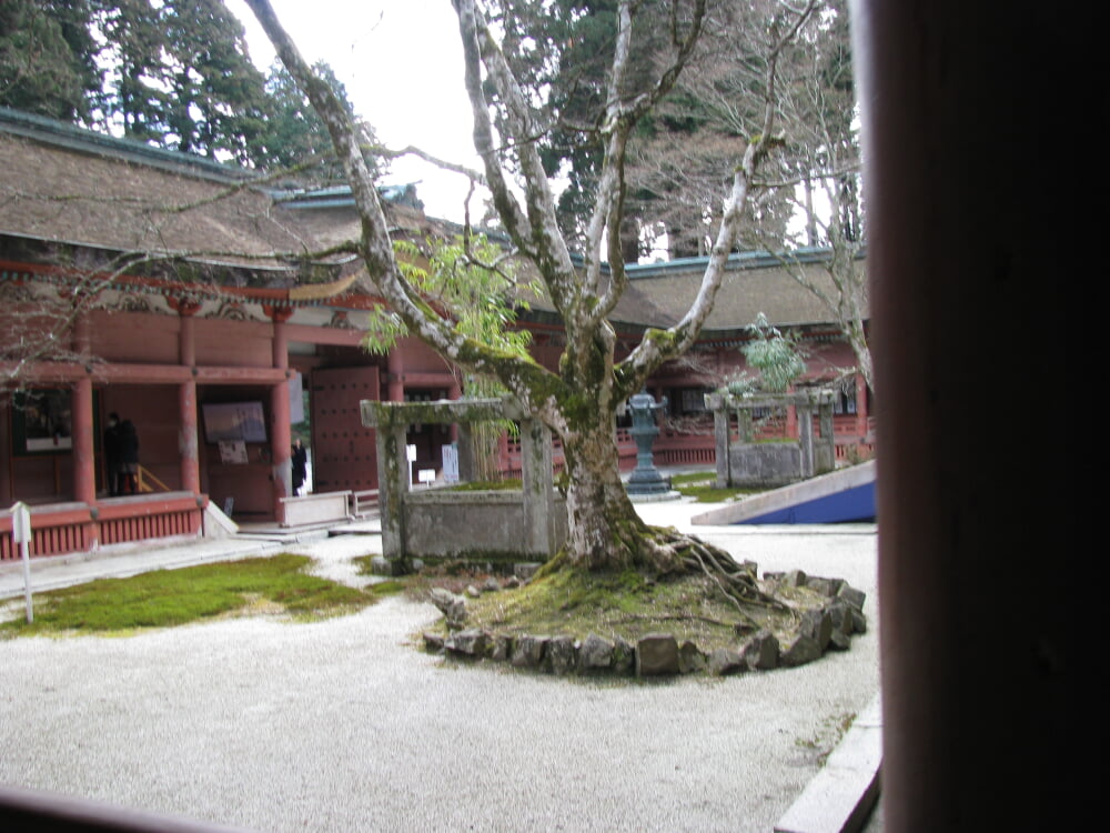比叡山延暦寺の写真2