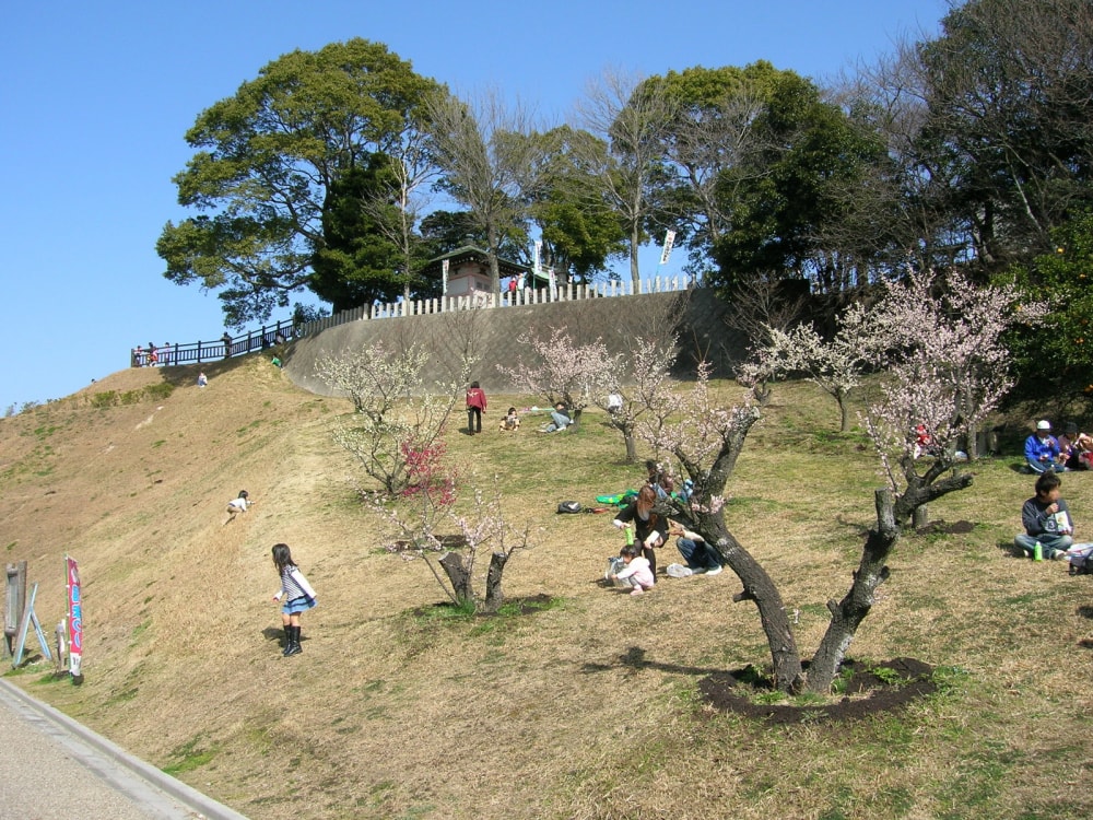 佐布里緑と花のふれあい公園の写真5