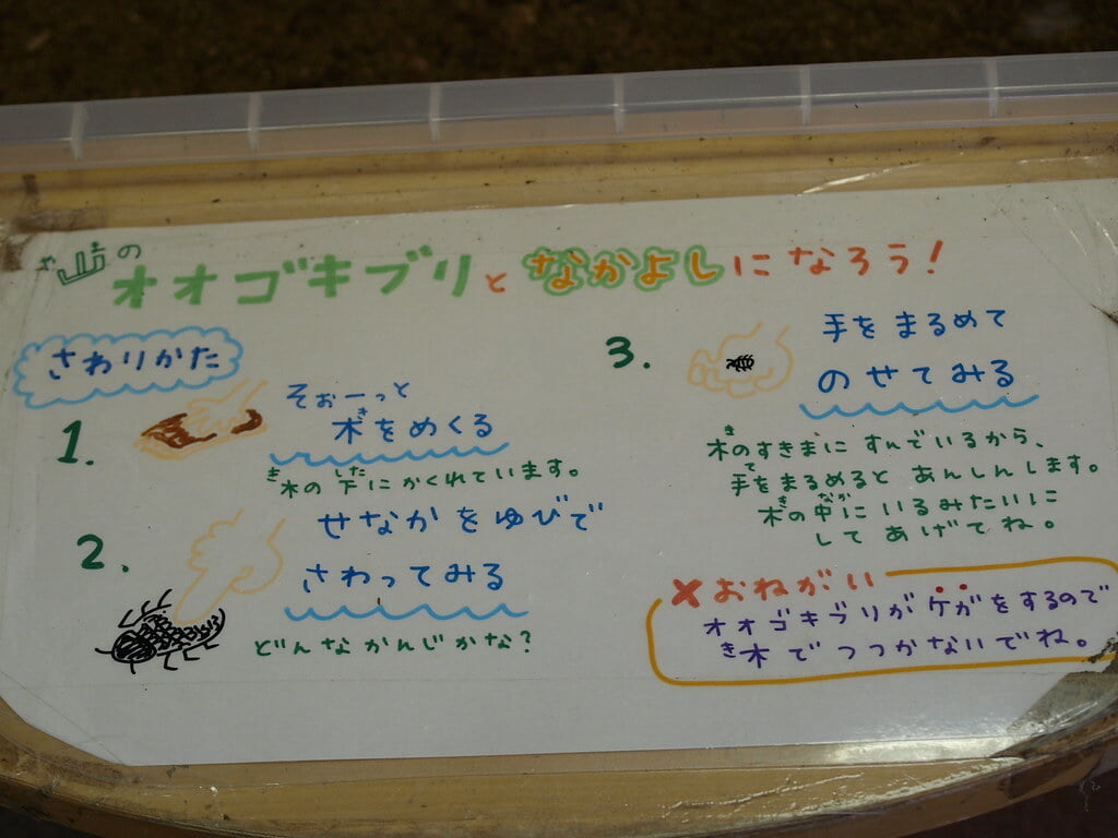 昆陽池公園の写真2