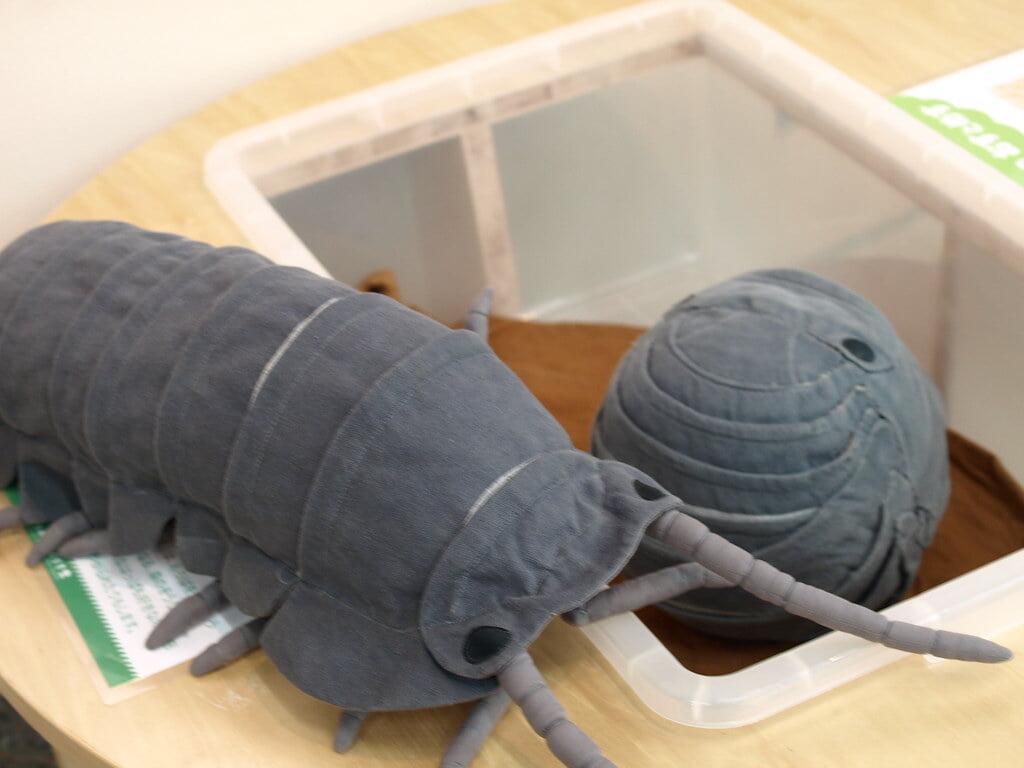 昆陽池公園の写真7