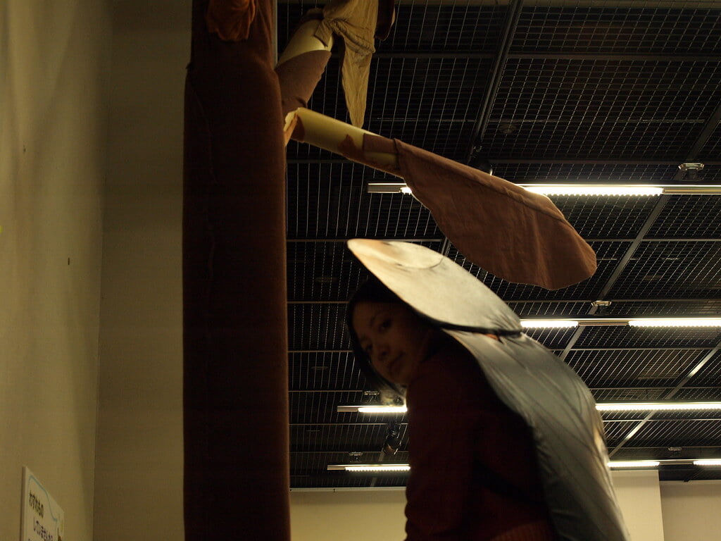 昆陽池公園の写真8