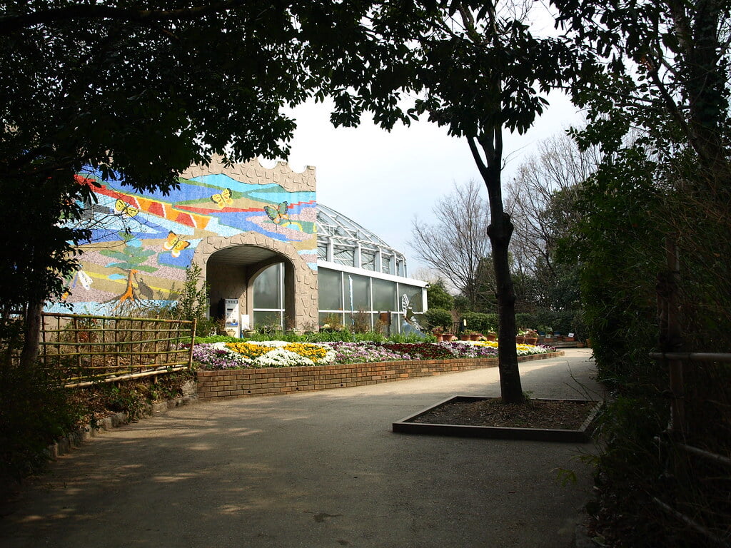 昆陽池公園の写真9