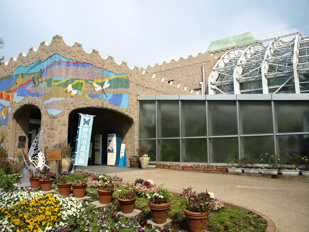 昆陽池公園の写真1