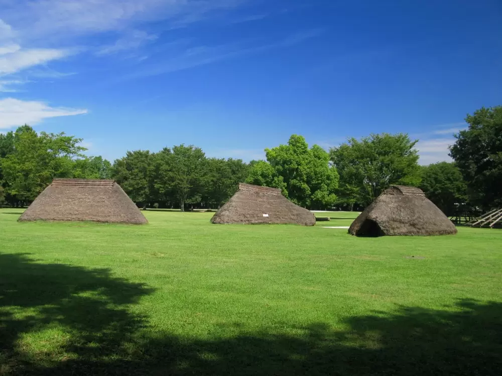 水子貝塚公園の写真1