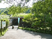 さいたま緑の森博物館