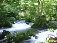 奥入瀬渓流